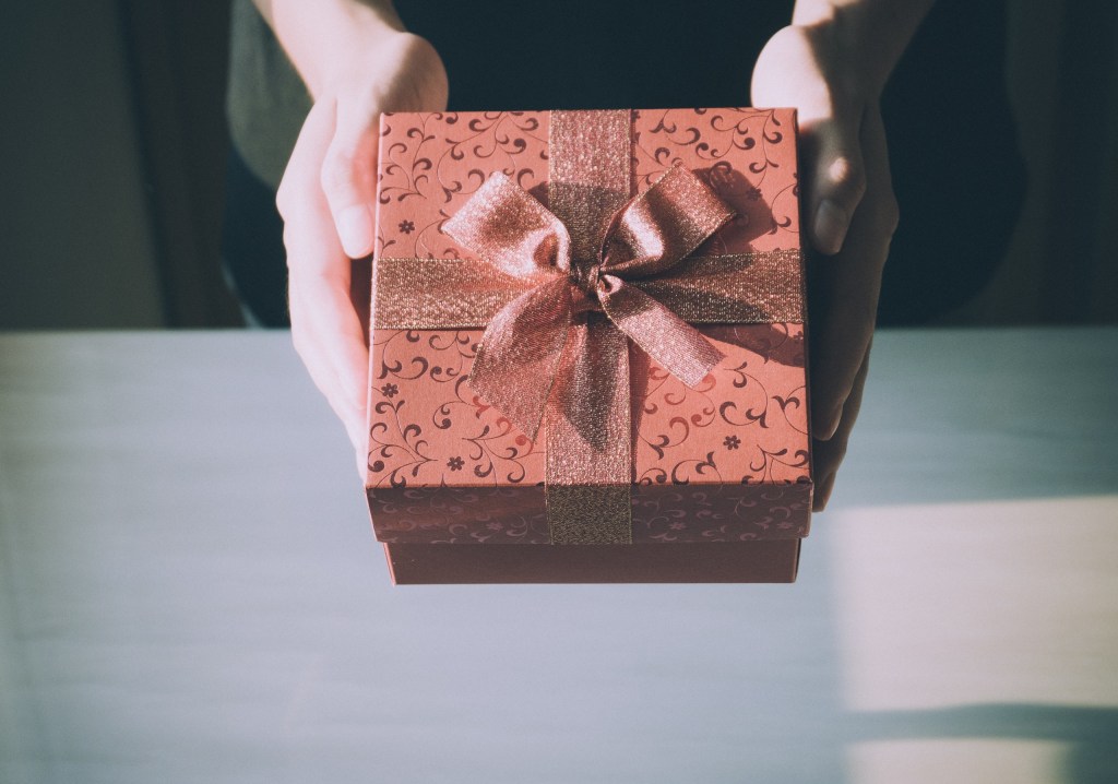 Person holding a decorative gift box with a ribbon.